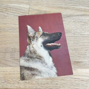 Vintage ansichtkaart hond herder