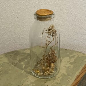 Flesje droogbloemen Field of Hope